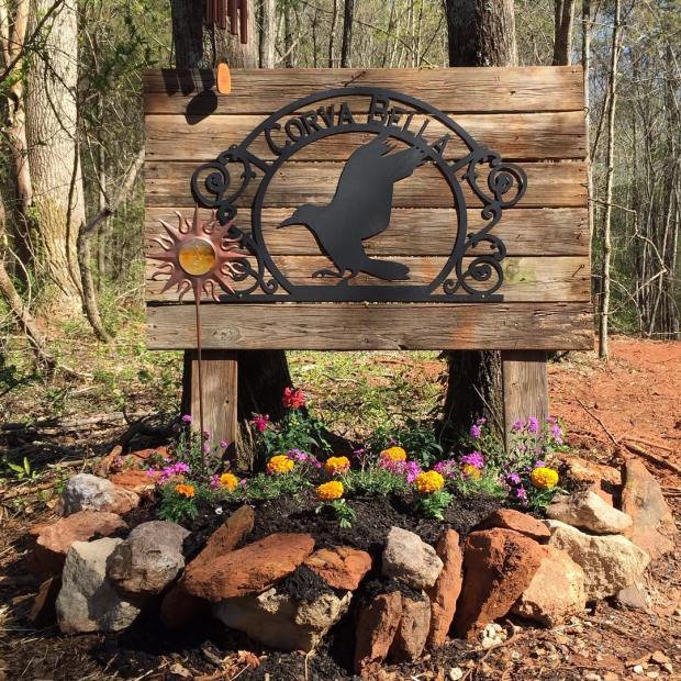 12719163_1707304859526787_8853992377418273981_o