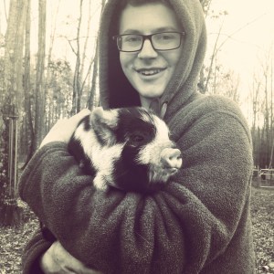 kunekune piglet, maori pig, grazing pig, kune kune pig